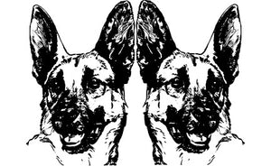 Are Max and Pilgrim real K9s, and why the tension between Gil and Max?